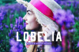 Product image of Lobelia Mobile & Desktop Lightroom Presets