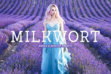 Product image of Milkwort Mobile & Desktop Lightroom Presets