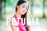 Product image of Petunia Mobile & Desktop Lightroom Presets