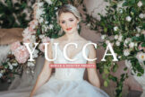 Product image of Yucca Mobile & Desktop Lightroom Presets