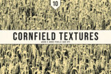 Product image of Cornfield Textures