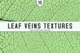 Product image of Leaf Veins Textures