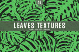 Product image of Leaves Textures