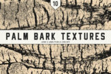 Product image of Palm Bark Textures