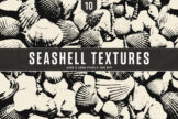 Product image of Seashell Textures