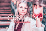Product image of Cestrum Mobile & Desktop Lightroom Presets