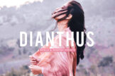 Product image of Dianthus Mobile & Desktop Lightroom Presets