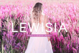 Product image of Lewisia Mobile & Desktop Lightroom Presets