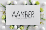 Product image of Aamber Sans Serif Font