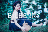 Product image of Bilberry Mobile & Desktop Lightroom Presets