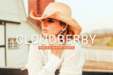 Product image of Cloudberry Mobile & Desktop Lightroom Presets