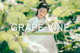 Product image of Grape Vine Mobile & Desktop Lightroom Presets