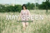Product image of May Green Mobile & Desktop Lightroom Presets