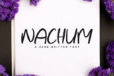 Product image of Nachum Brush Font