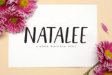 Product image of Natalee Brush Font