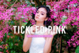 Product image of Tickled Pink Mobile & Desktop Lightroom Presets