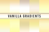 Product image of Vanilla Gradients