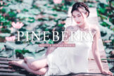 Product image of Pineberry Mobile & Desktop Lightroom Presets