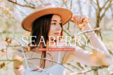 Product image of Seaberry Mobile & Desktop Lightroom Presets