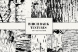 Product image of Birch Bark Textures