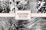 Product image of Feathers Textures