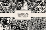 Product image of Natural Textures