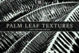 Product image of Palm Leaf Textures