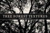 Product image of Tree Forest Textures