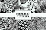 Product image of Coral Reef Textures