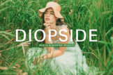 Product image of Diopside Mobile & Desktop Lightroom Presets