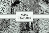 Product image of Moss Textures