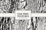 Product image of Oak Tree Textures