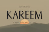 Product image of Kareem Brush Font