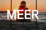 Product image of Meer Brush Font
