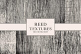 Product image of Reed Textures
