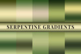 Product image of Serpentine Gradients
