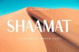 Product image of Shaamat Brush Font
