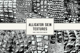 Product image of Alligator Skin Textures