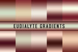 Product image of Eudialyte Gradients