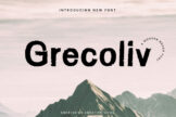 Product image of Grecoliv Brush Font