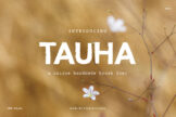Product image of Tauha Handmade Brush Font