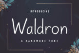 Product image of Waldron Handmade Font