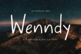Product image of Wenndy Brush Font