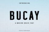 Product image of Bucay Brush Font