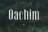 Product image of Oachim Display Font