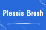 Product image of Plessis Brush Display Font