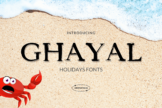 Product image of Ghayal Holidays Font