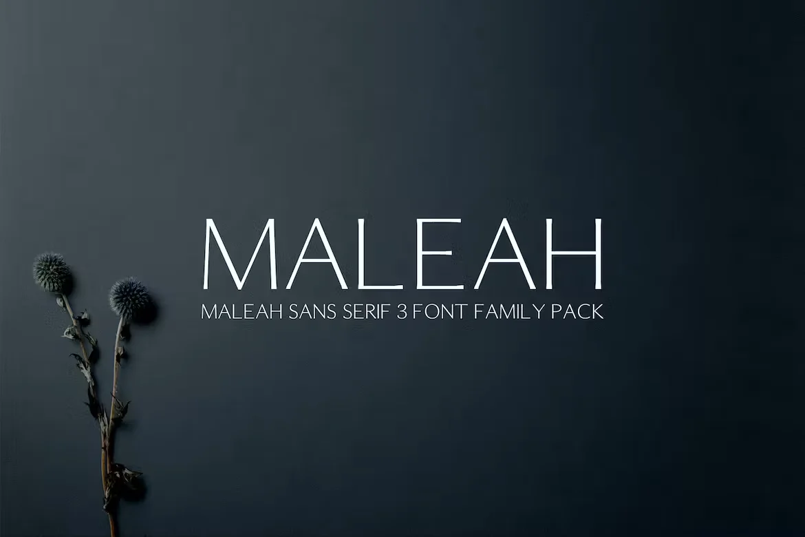Maleah Sans Serif 4 Font Family Pack