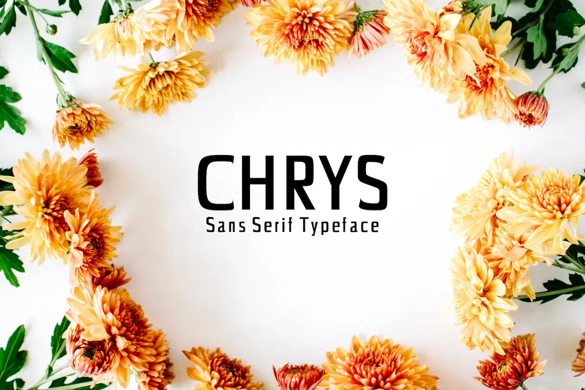 Chrys Sans Serif Font Family