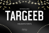 Product image of Targeeb Holidays Font